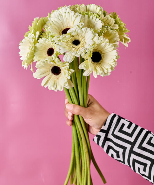 White Imported Flowers